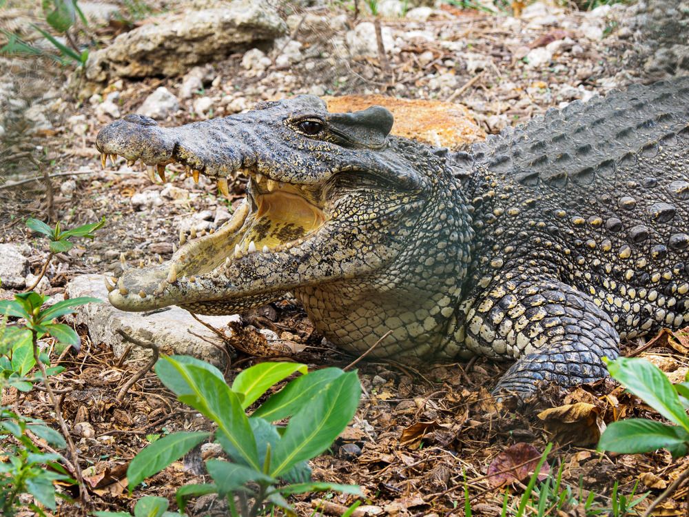 Photograph by Борис Полтавец