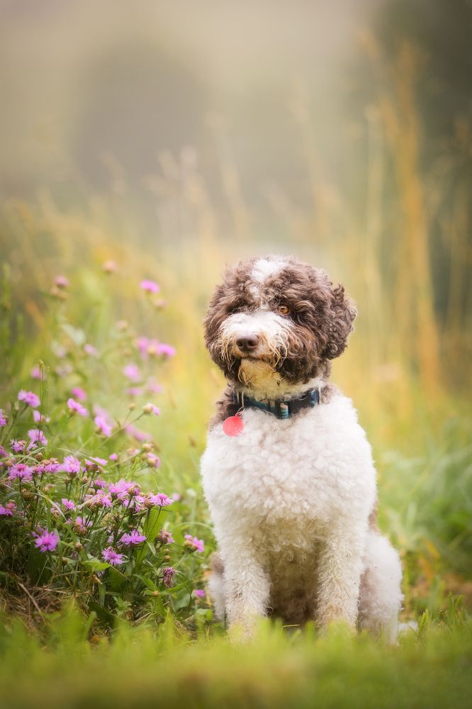 Photograph by Dmitry Ishniyazov