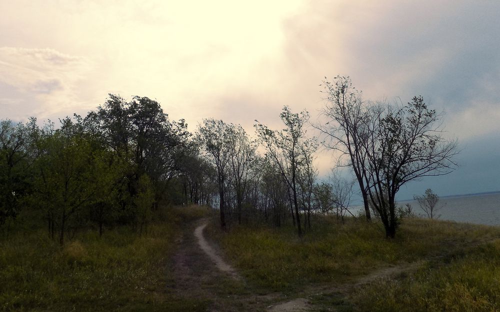 Photograph by Сергей Рудаков