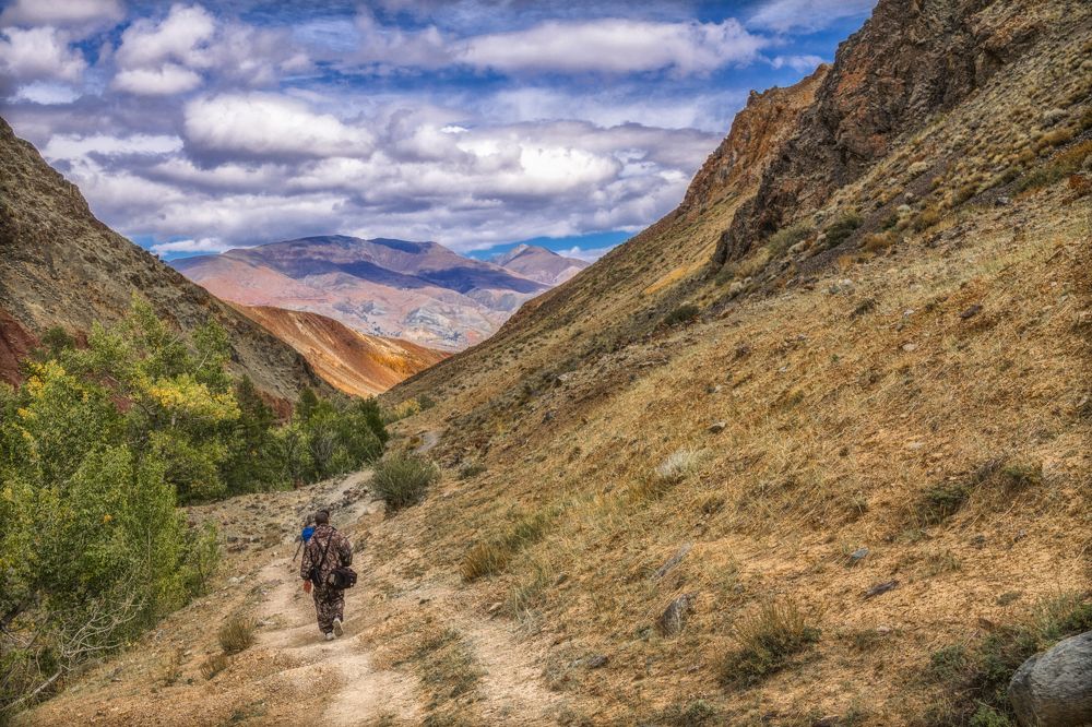 Марсианские тропы Алтая.