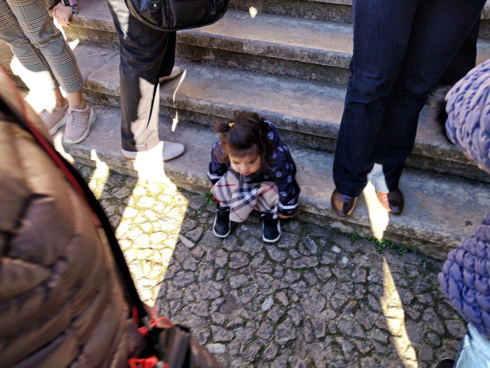 Photograph by Михаил Янкин