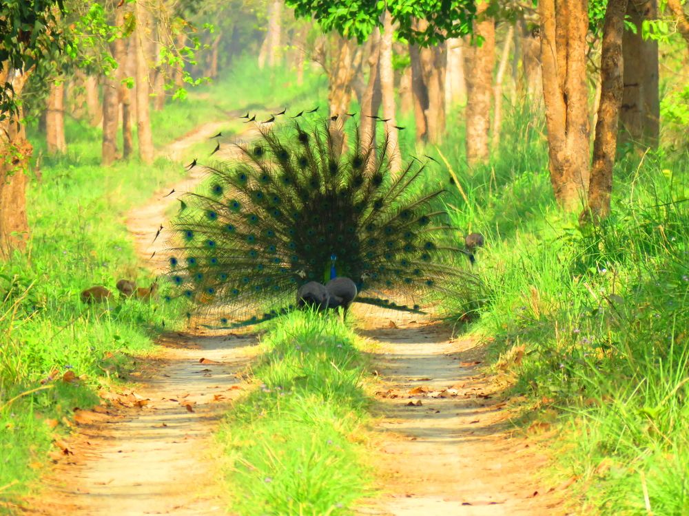 Photograph by ACHIEVEMENT LOVER