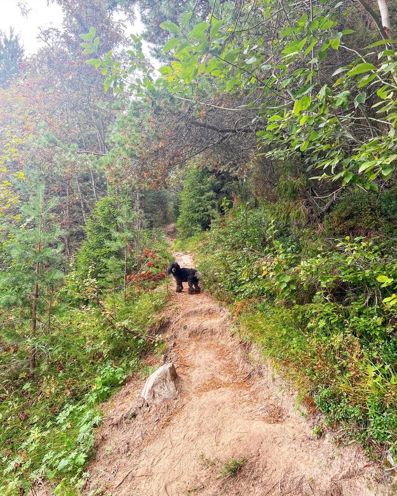 Photograph by Александра Акси