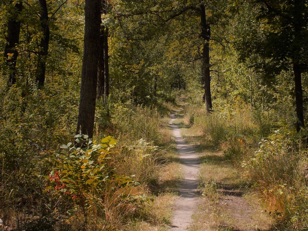 Photograph by Сергей Рудаков