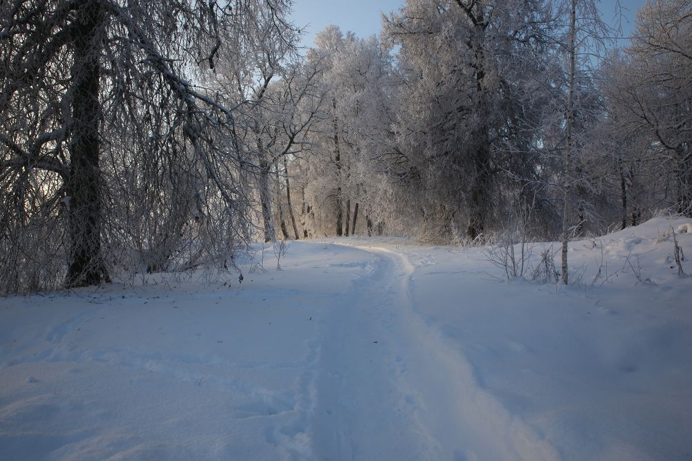 Photograph by Евфросиния Капустина