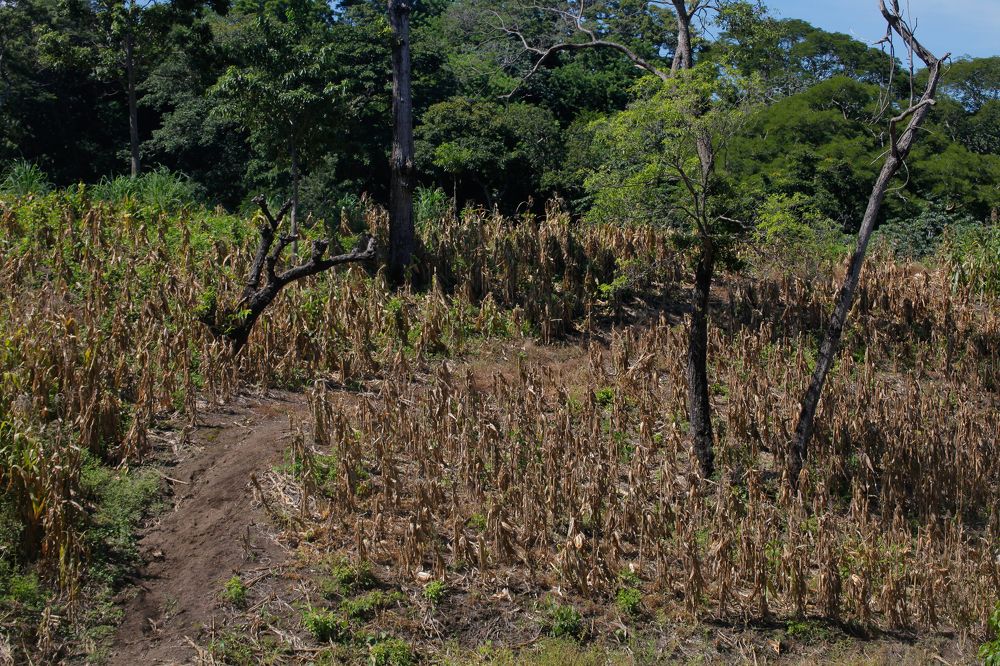 Photograph by Евфросиния Капустина