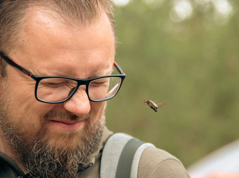 Фотография автора АНАСТАСИЯ ЛЕВИНА