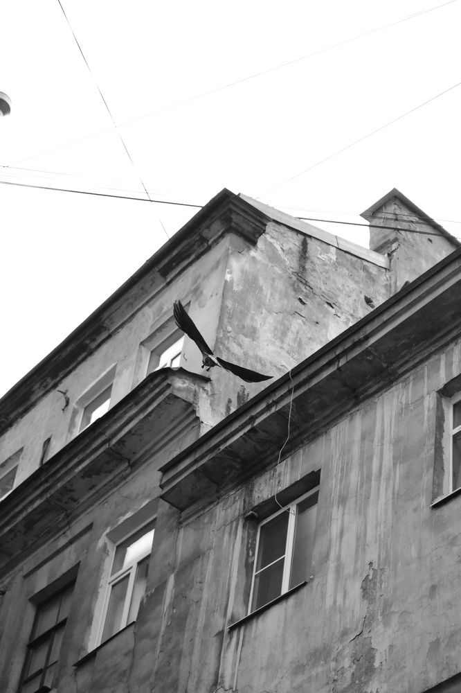 Фотография автора АНАСТАСИЯ ЛЕВИНА