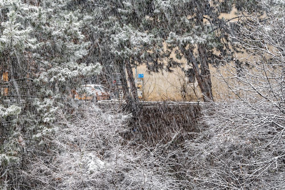 Фотография автора Андрей Симонов