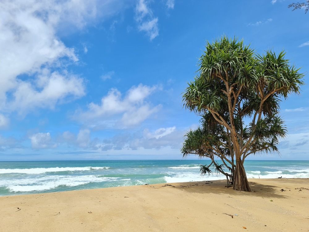 Photograph by Вадим Богатиков