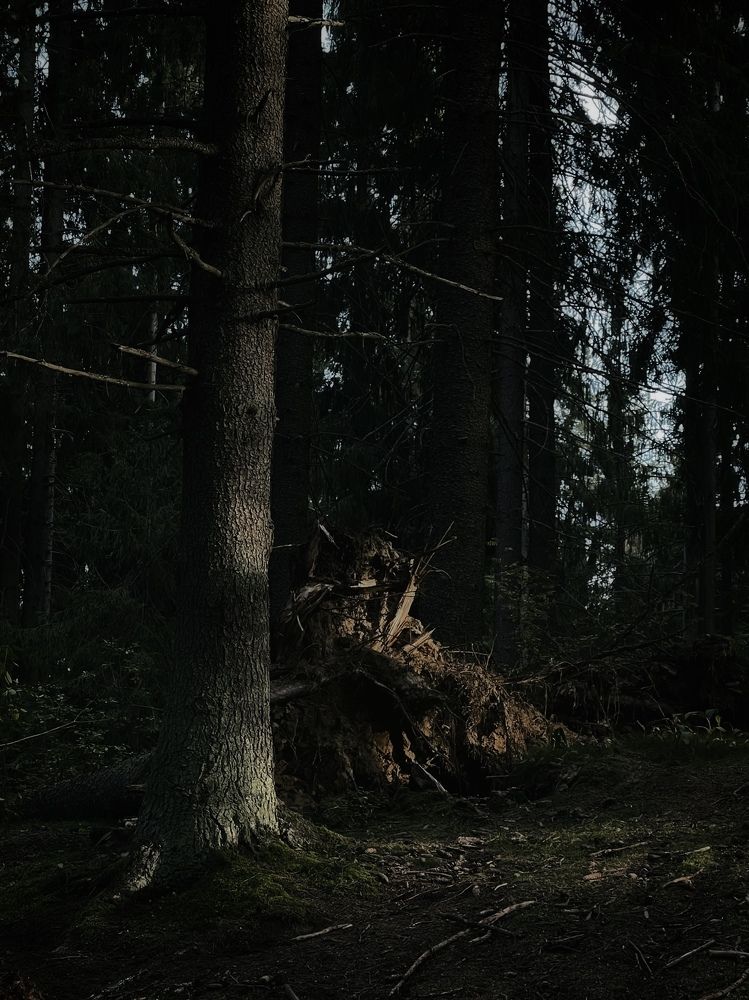 Photograph by Tina Baks