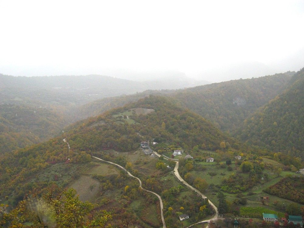 Photo #11246952
