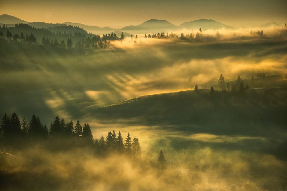 Фотография автора Popescu Cezar Gabriel