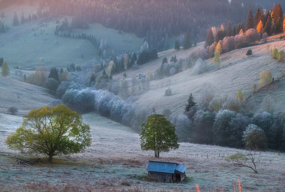 Фотография автора Popescu Cezar Gabriel