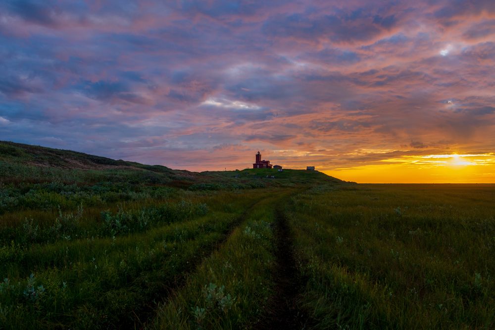 Фотография автора Мика Петров