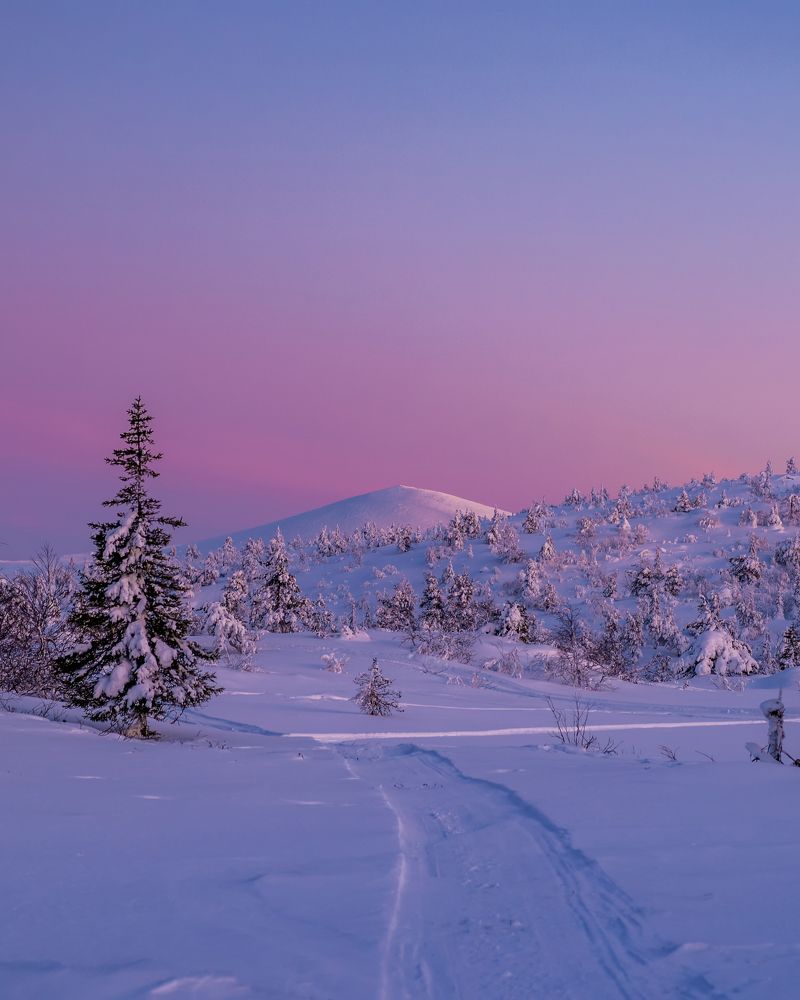 Photograph by Мика Петров