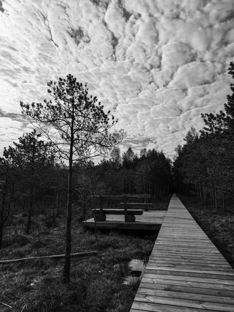 Photograph by Ksenija Bartoško