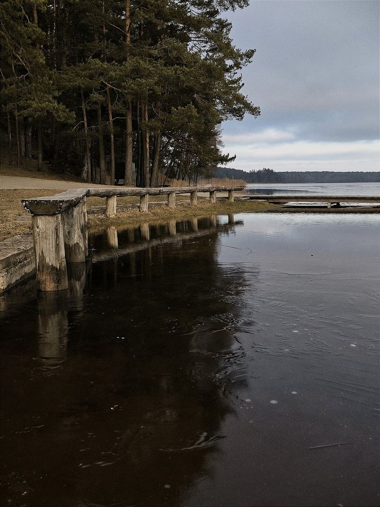 Photograph by Ksenija Bartoško