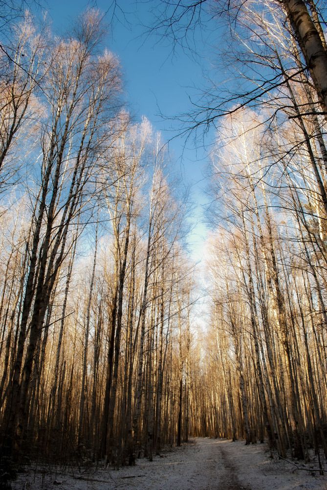 Photograph by Любовь Бусова