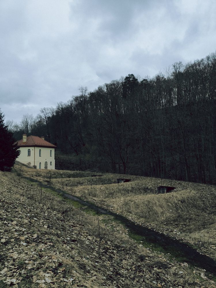 Photograph by Ksenija Bartoško