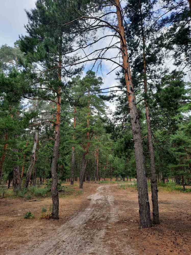 Photograph by Курчина Вероника