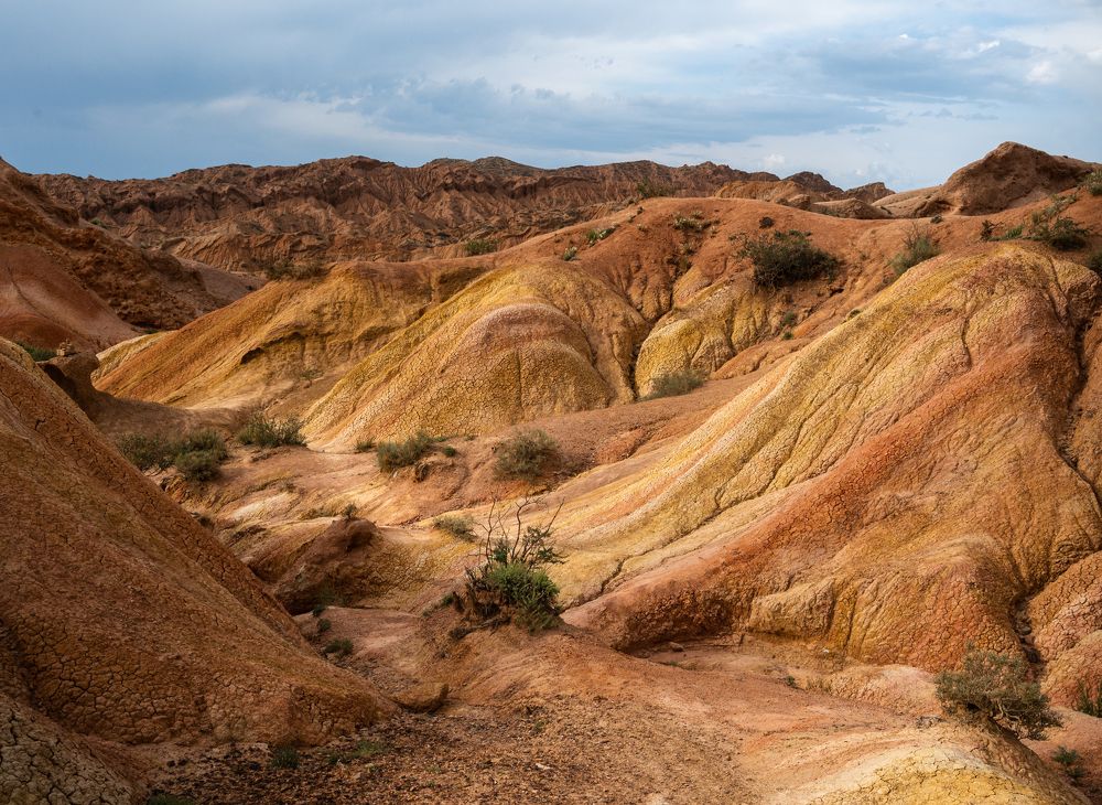 Photograph by Анна Стрелковская