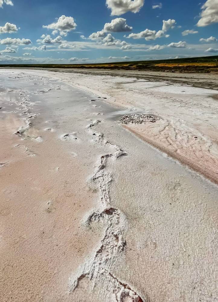 Photograph by Анна Стрелковская