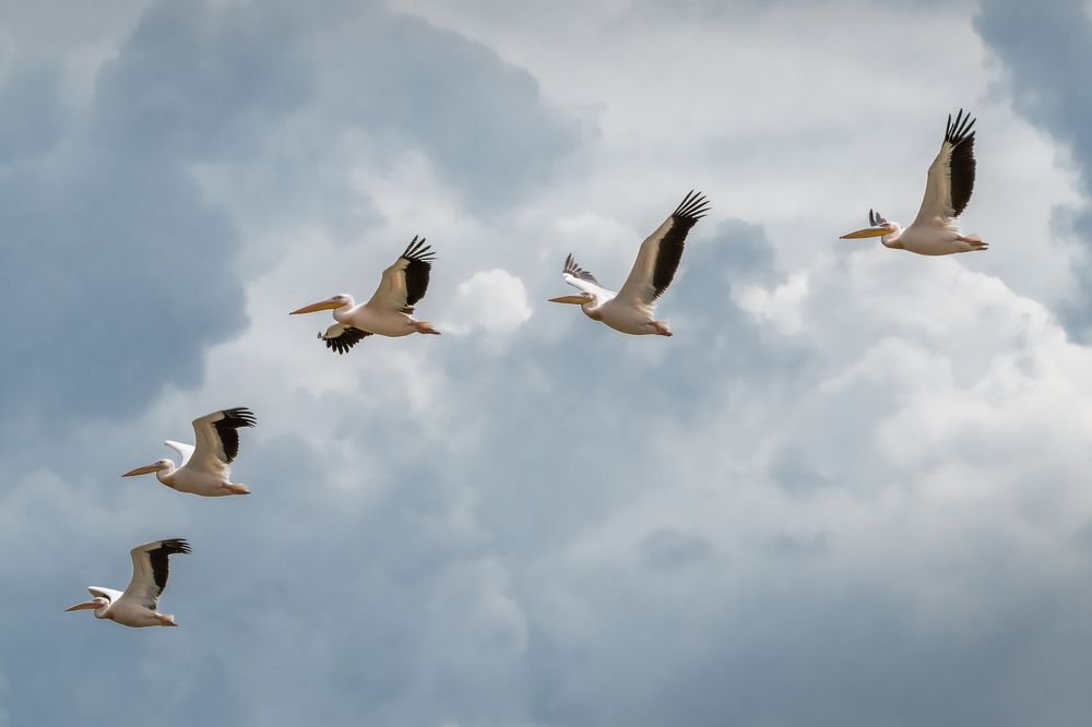 Photograph by Анна Стрелковская