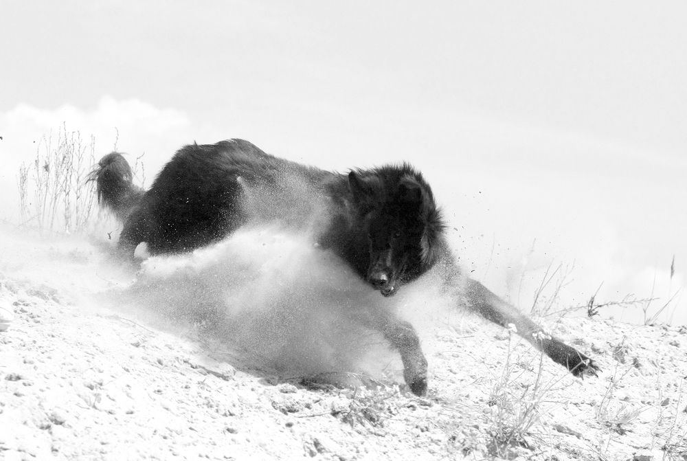 Фотография автора Надежда Лисицына