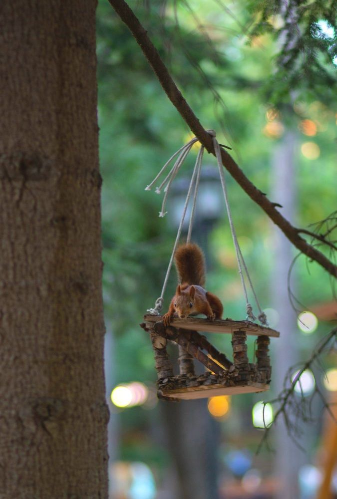 Photograph by Ольга Захарова