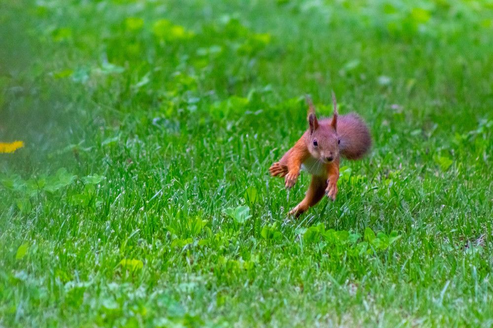 Photograph by Ольга Захарова