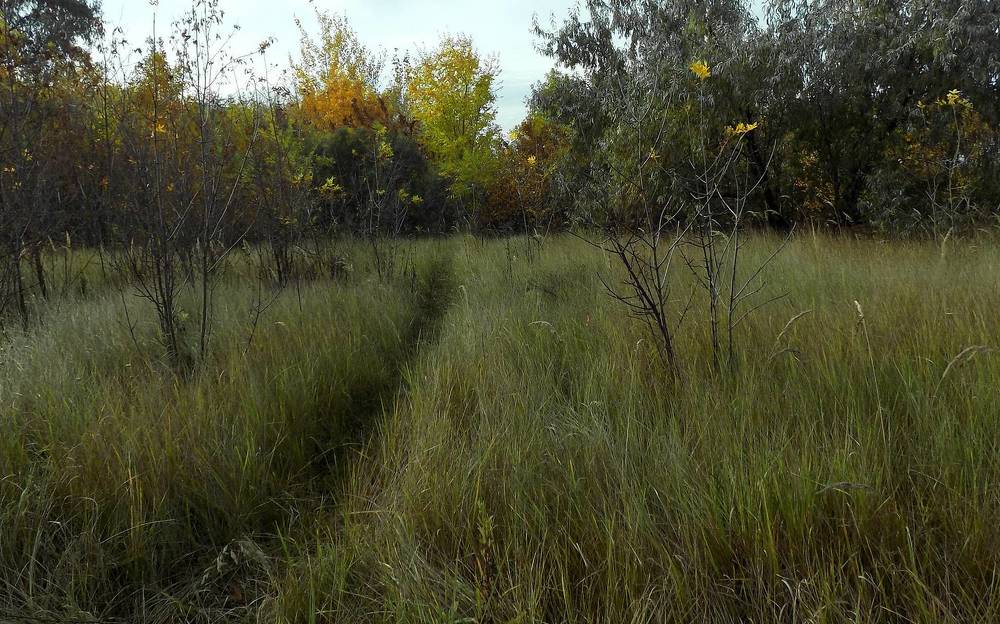 Photograph by Сергей Рудаков