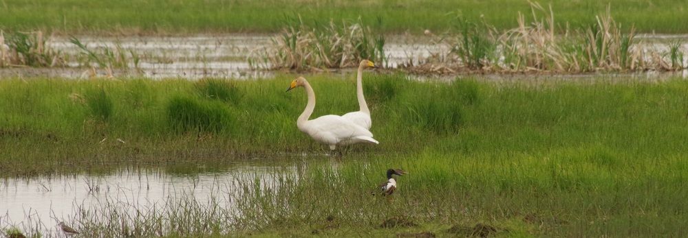 Photograph by Андрей