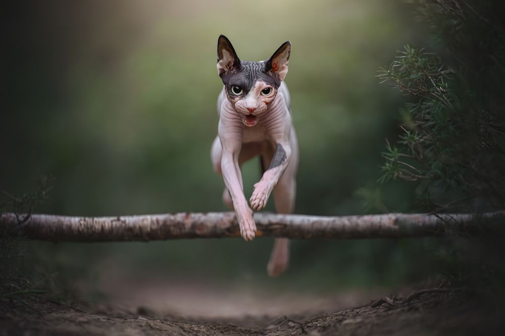 Фотография автора Rut Casanellas