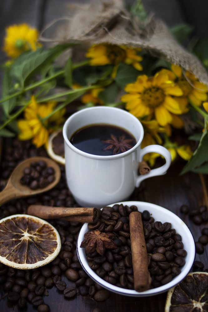 Photograph by Татьяна Шахматова