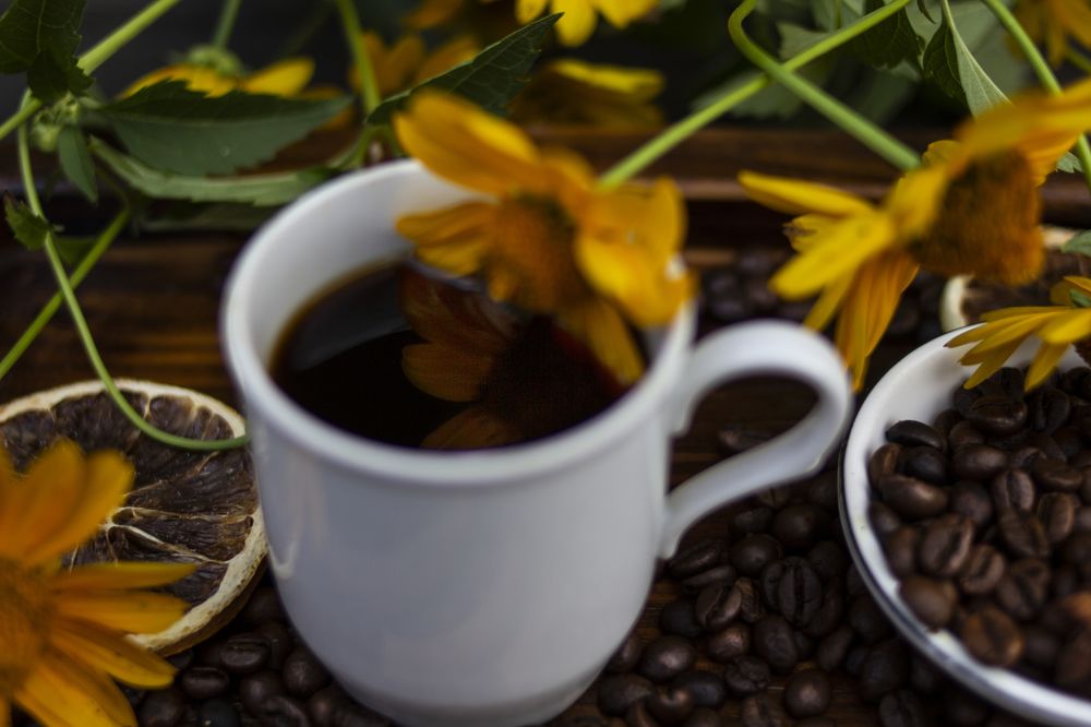 Photograph by Татьяна Шахматова