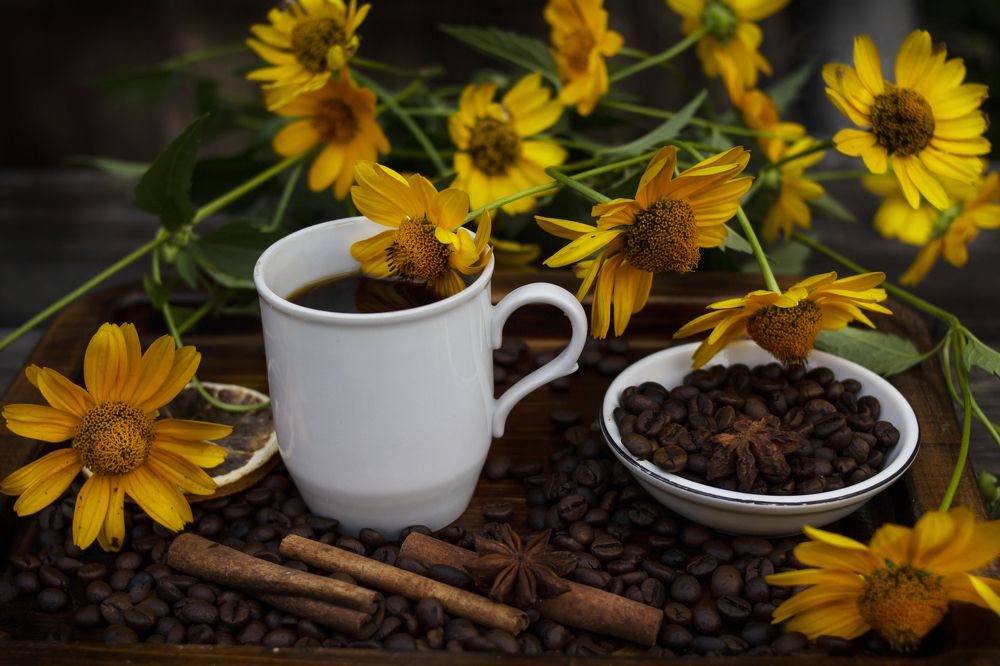 Photograph by Татьяна Шахматова