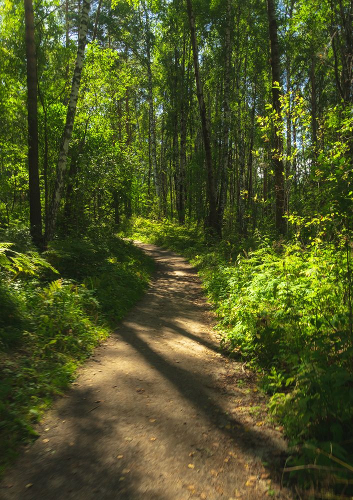 Фотография автора Максим Грибанов