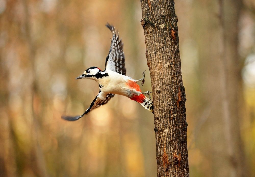 Photograph by Алексей Volg