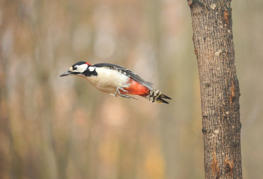 Photograph by Алексей Volg