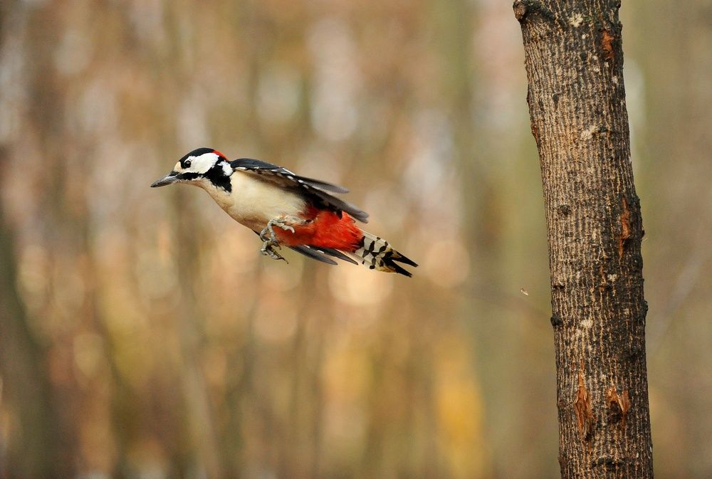 Photograph by Алексей Volg