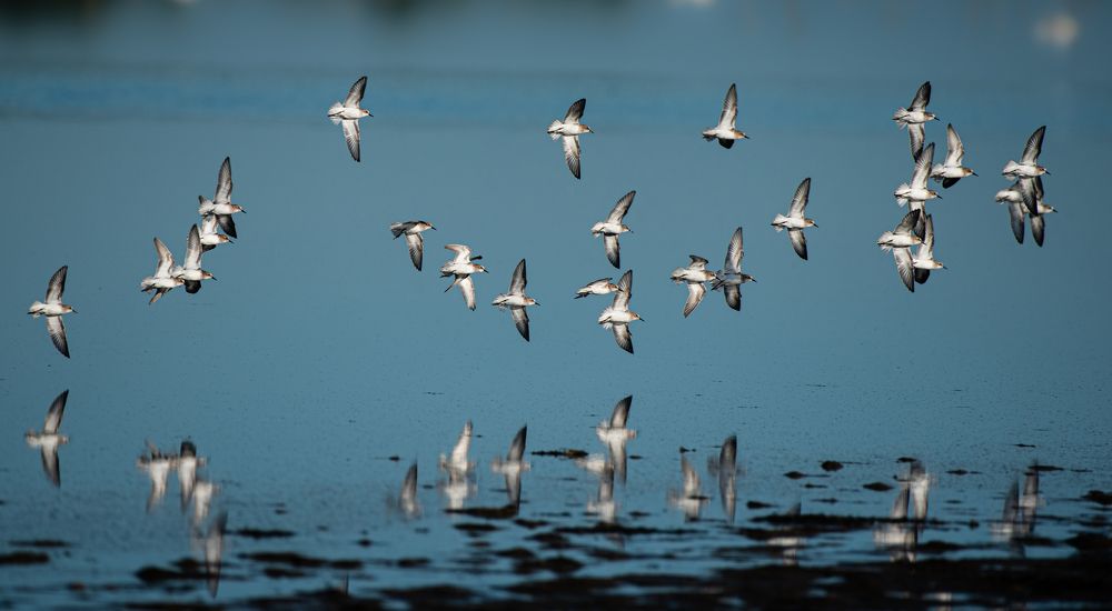 Photograph by Janakan Sritharan