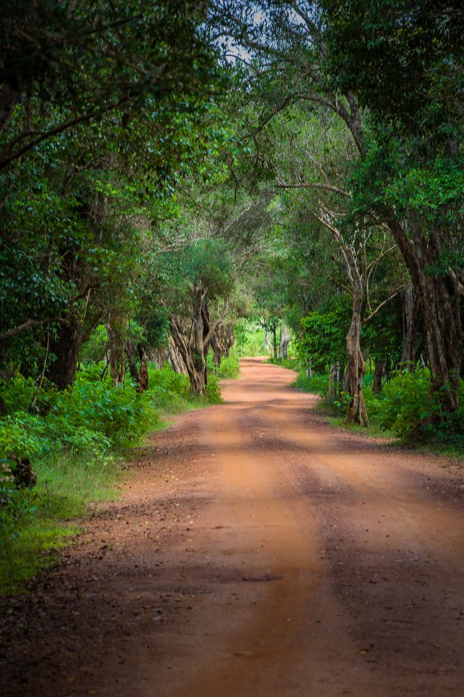Photograph by Janakan Sritharan