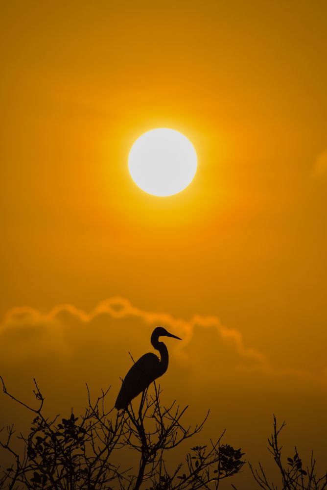 Photograph by Janakan Sritharan