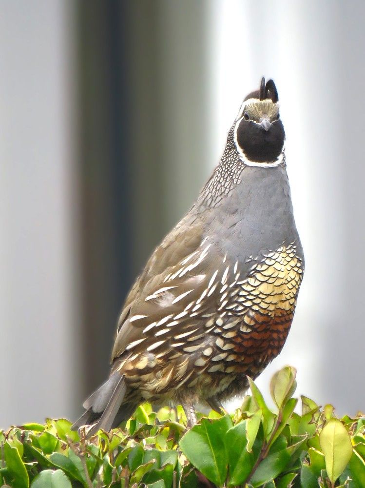 Photograph by НАТАЛЬЯ РОДИНА