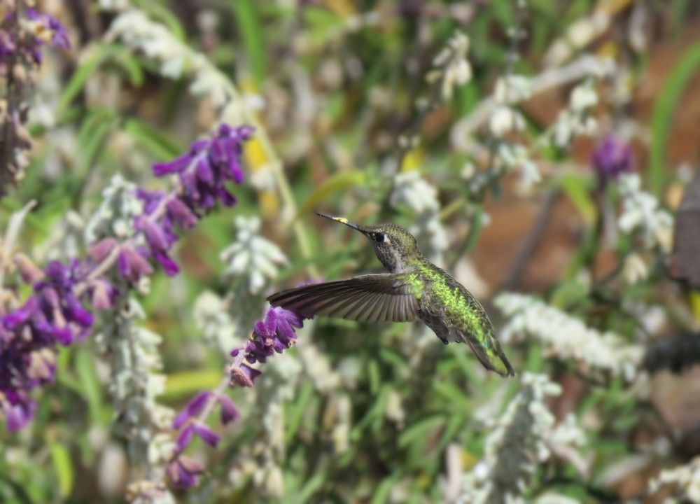 Photograph by НАТАЛЬЯ РОДИНА