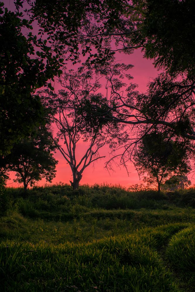 Photograph by Janakan Sritharan