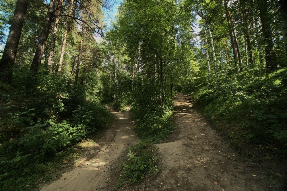 Фотография автора Максим Грибанов