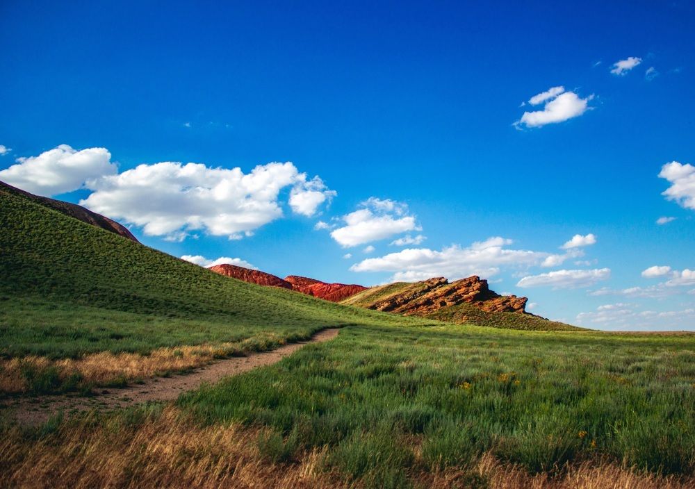 Photograph by Галчонок Ахмерова