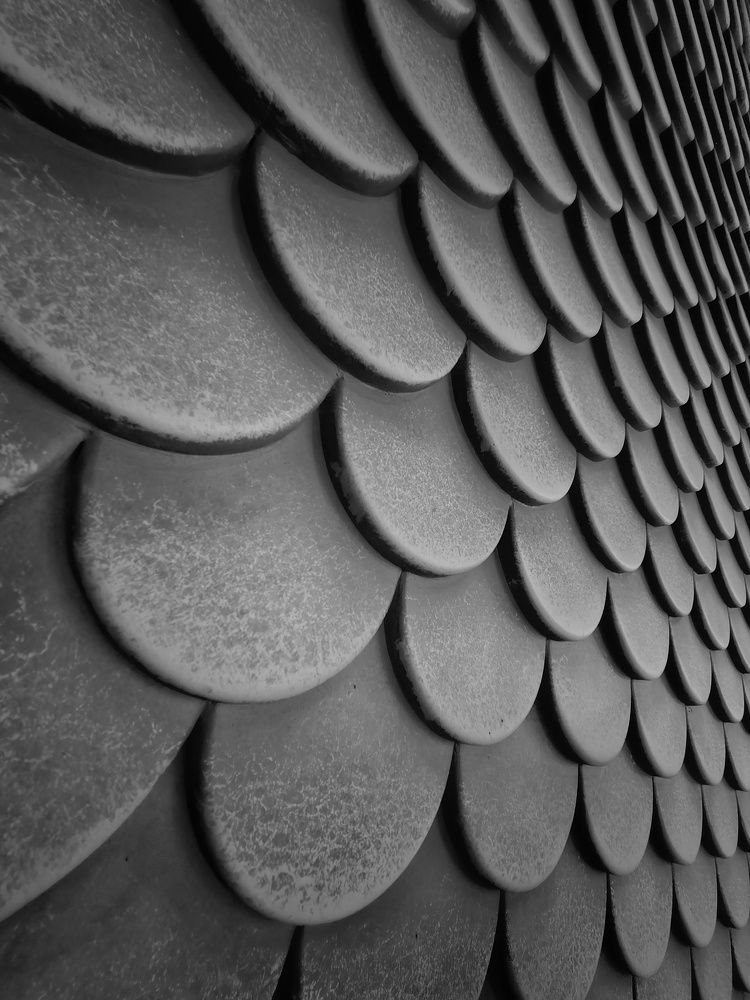 Photograph by Ирина Никулина